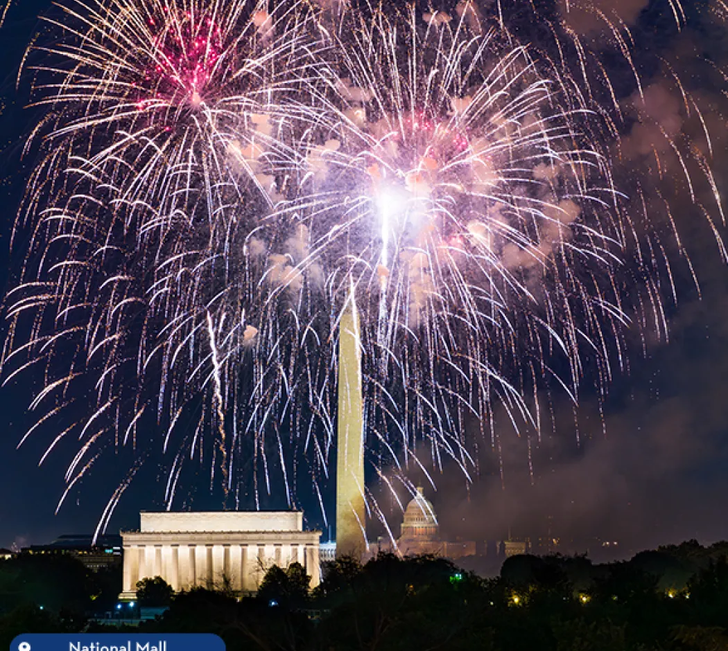 Colorful fireworks over the National Mall.